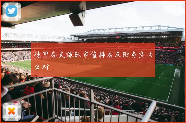 德甲各支球队市值排名及财务实力分析